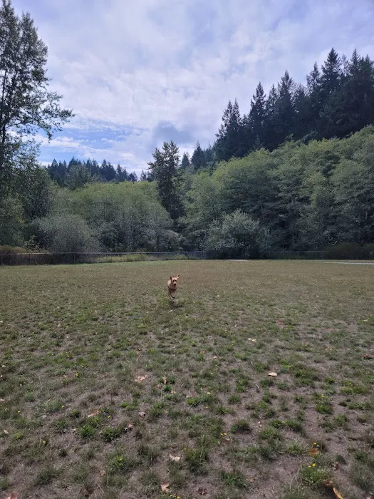 Lake Padden Dog Park 2
