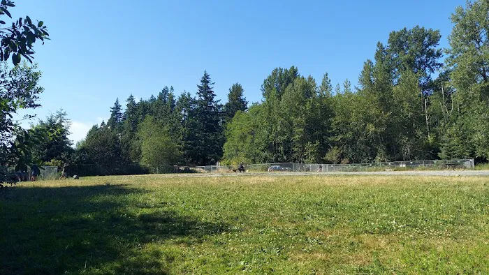 Lake Padden Dog Park 1