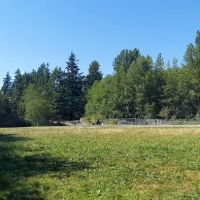 Lake Padden Dog Park ico