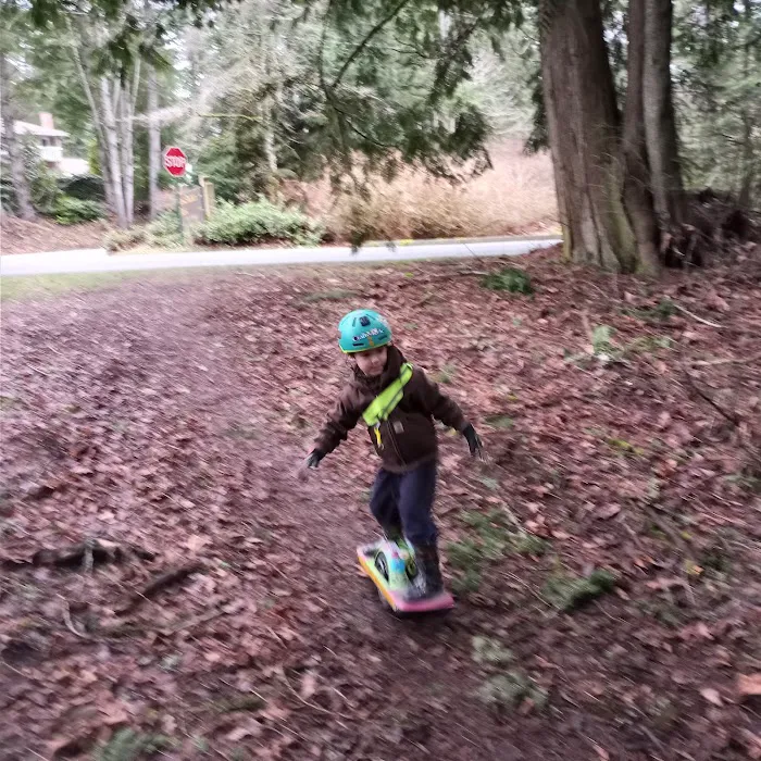 Lake Padden Dog Park 5
