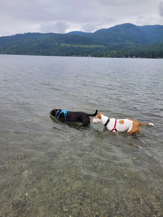 Sudden Valley Dog Park 7
