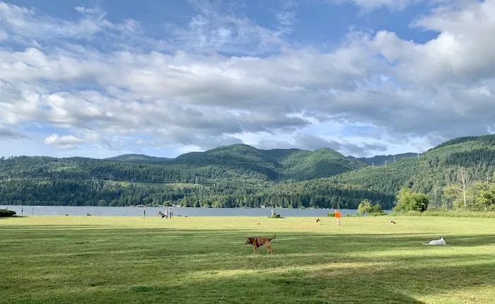 Sudden Valley Dog Park 8