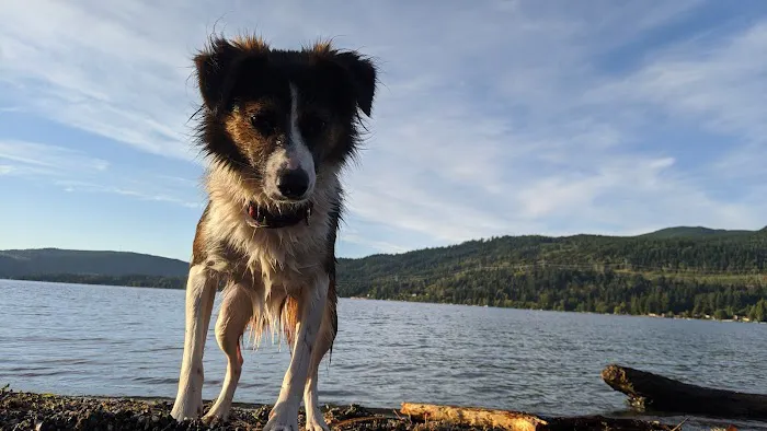 Sudden Valley Dog Park 2