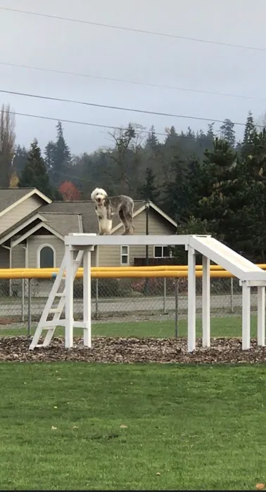 Sequim Dog Park 9