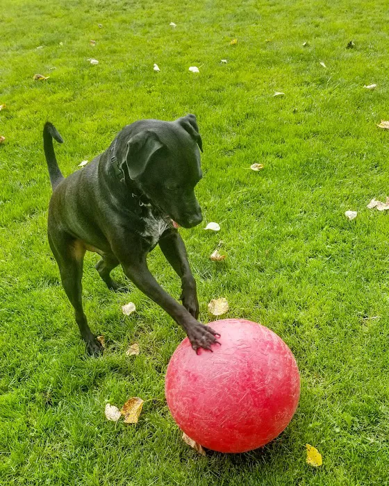 Sequim Dog Park 7
