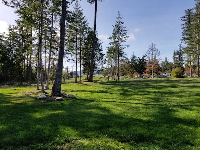 Dog Park 1