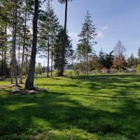 Dog Park ico