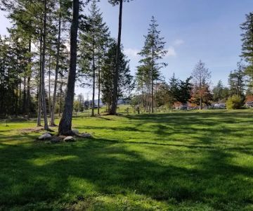 Dog Park
