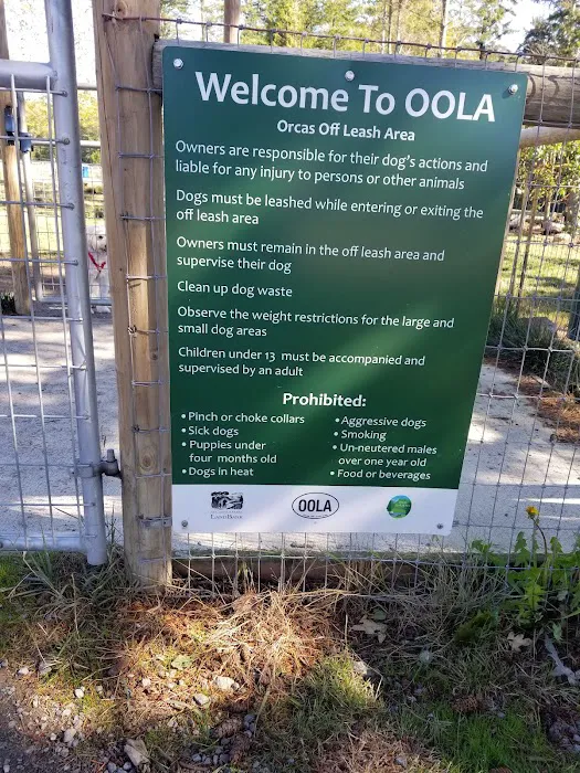 Dog Park 7