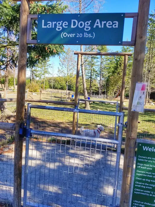 Dog Park 8