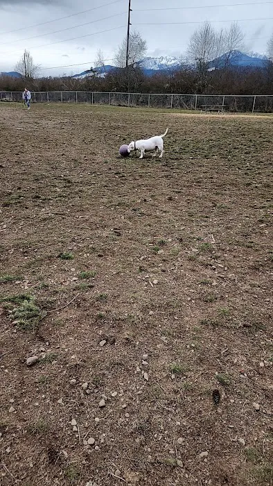 Port Angeles Dog Park 3
