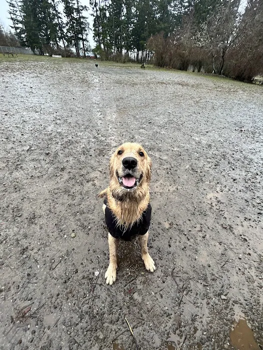 Port Angeles Dog Park 7