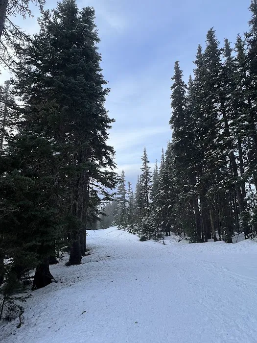 Port Angeles Dog Park 10