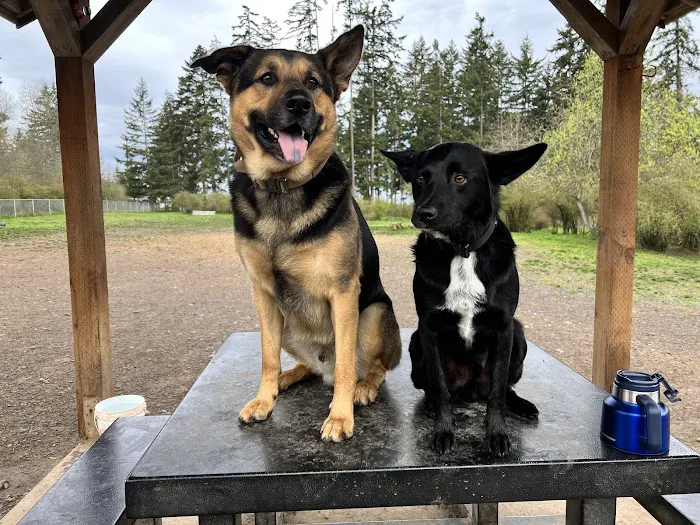 Port Angeles Dog Park 8