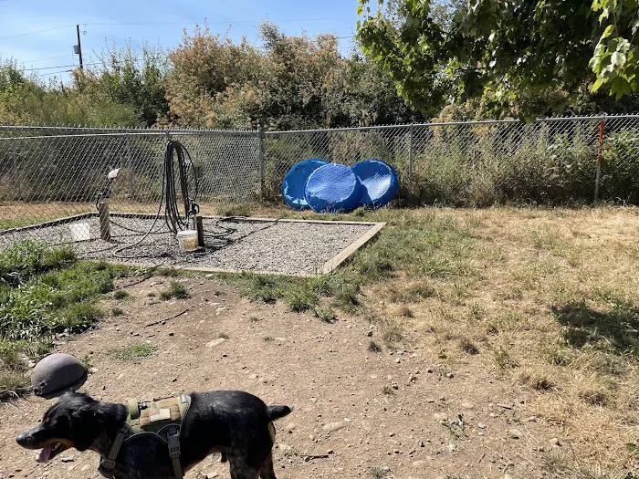 Port Angeles Dog Park 9