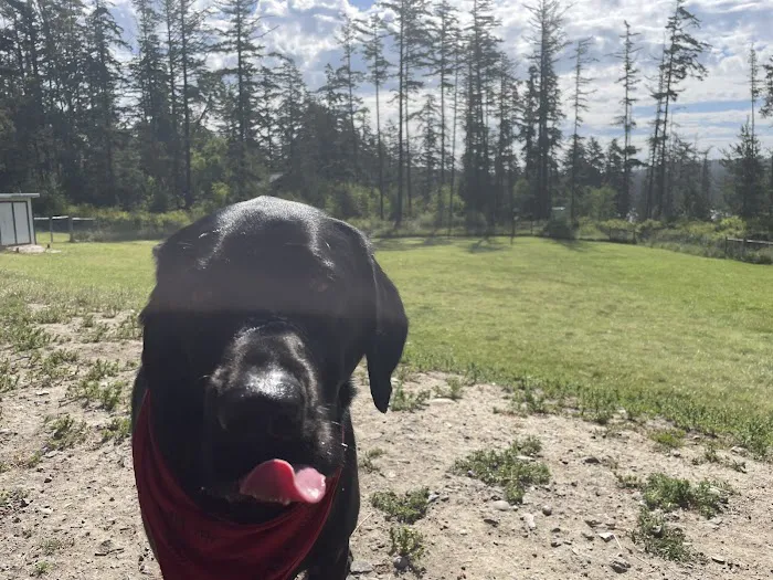 Pup Town Dog Park 7