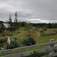 Pup Town Dog Park ico