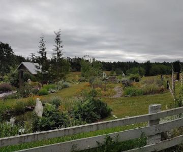Pup Town Dog Park