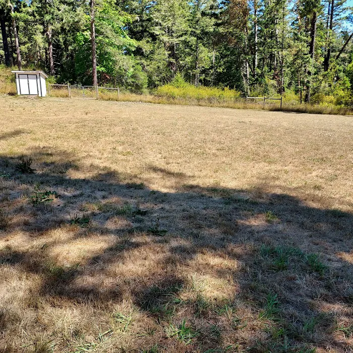 Pup Town Dog Park 10