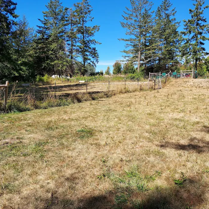 Pup Town Dog Park 9