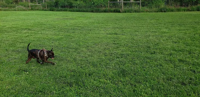 Pup Town Dog Park 5