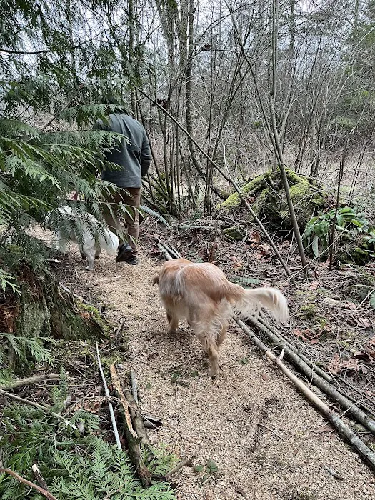Freedom Pl. Private Dog Park 2
