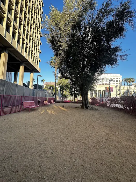 Grand Park- Dog Park 7