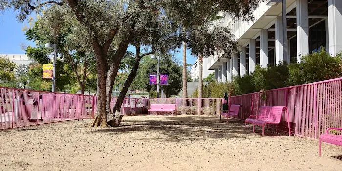 Grand Park- Dog Park 5
