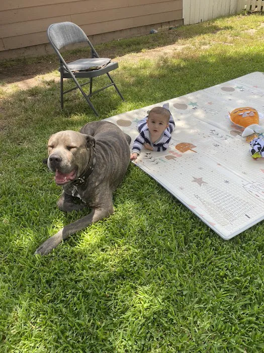 Grand Park- Dog Park 1