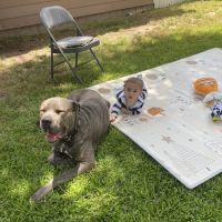 Grand Park- Dog Park ico