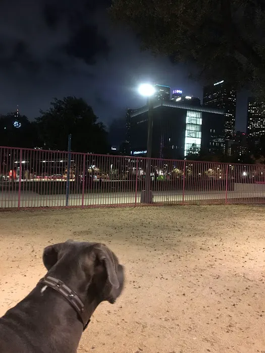 Grand Park- Dog Park 8