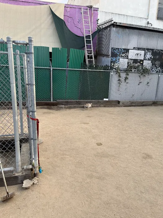 Factory Pl Dog Park 1