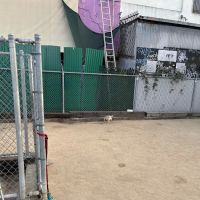 Factory Pl Dog Park ico