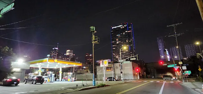L.A. Live Large Dogs Park 1