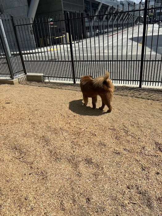 L.A. Live Large Dogs Park 4