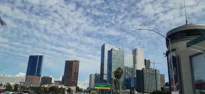 L.A. Live Large Dogs Park 8