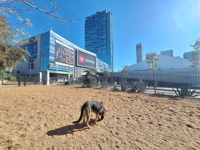 L.A. Live Large Dogs Park 9