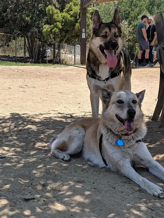 Silver Lake Dog Park 2