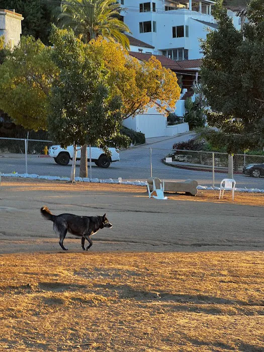 Silver Lake Dog Park 1