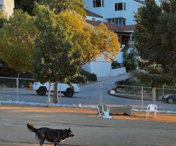 Silver Lake Dog Park