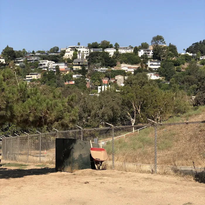 Silver Lake Dog Park 5