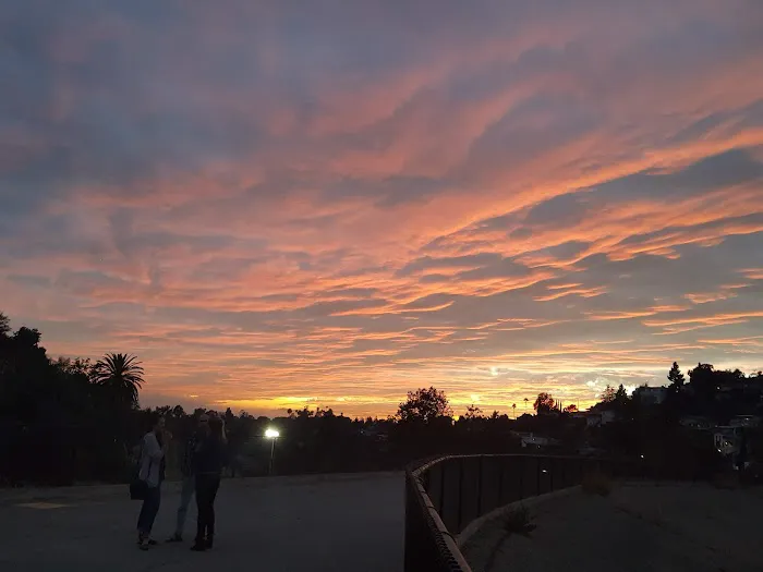 Silver Lake Dog Park 8