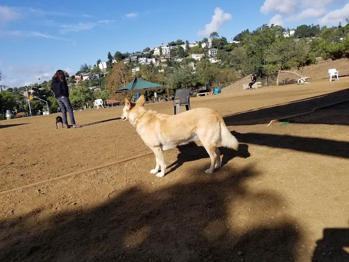 Silver Lake Dog Park 10