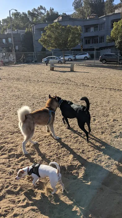 Silver Lake Dog Park 4