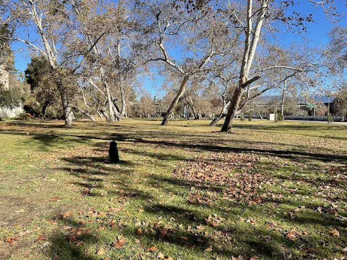 Hermon Dog Park 10