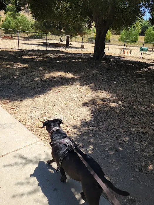 Hermon Dog Park 5