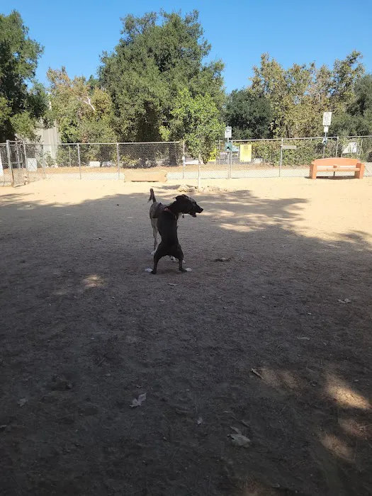 Hermon Dog Park 4