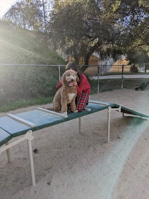 Hermon Dog Park 6
