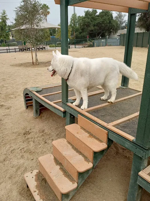 South Pawsadena Dog Park 2