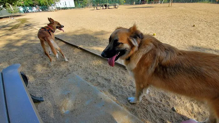 South Pawsadena Dog Park 4